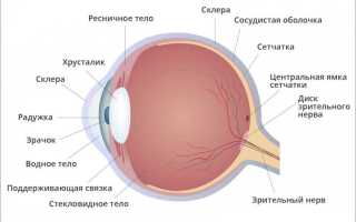 Синдром верхней глазничной щели и его симптомы