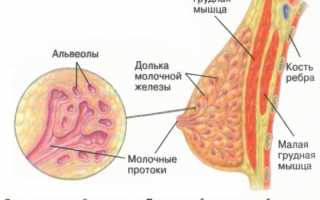 Нагноившаяся киста молочной железы код мкб