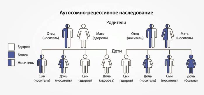 Врожденная гиперплазия надпочечников адреногенитальный синдром